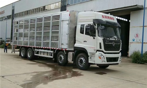 東風(fēng)天龍前四后八畜禽運輸車 